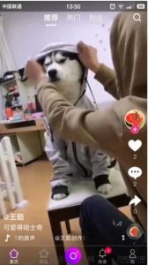 云豹直播二开最新版本更新短视频源码-亿码酷站